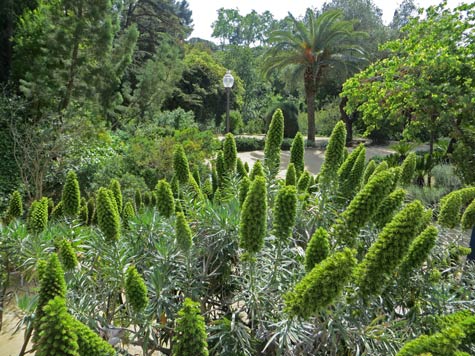 Botanic Gardens in Barcelona